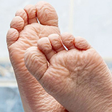 podologa, podóloga, krethel, krethel podologa, podiatra, podiatría, podiatras, podóloga niños, podologa niños, podóloga niñas, 
podologa niñas, krethel cortes, krethel cortés, podologia, pies salud, pie, pies, podologia pediatrica, podología pediátrica, podar
krethel cortes podologa, krethel cortés podóloga, grethel podologa, podologa vallarta, podóloga Vallarta, salud pies, isla iguana, Isla Iguana, pedicure clinico, podología,
clinical pedicure, chiropodist, podology, krethel cortes podology, podiatry, podiatry children, health podology, foot health, feet health, podiatrist
plantillas, hongos en pies, laser, lasér, eliminar hongos, uña enterrada, pedicure diabetico, pedicure diabético, diabetic pedicure, dolor espalda
dolor talones, dolor columna, pies saludables, dolor plantar, dedo, uña amarilla, uña gruesa, uña encarnada, dolor lumbar, sudor pies
sudoracion de pies, sudoración de pies, uñas amarillas, uñas gruesas, tratamiento laser, tratamiento lasér, nails fungus, laser treatment, diabetic foot, ingrown toenails
yellow nails, yellow nail, plantar pain, dolor d talon, dolor de talón, heel pain, espolon calcaneo, espolón calcáneo, calcaneal spur, callos y mezquinos
callos, mezquinos, callus, warts, fascitis plantar, plantar fasciitis, insoles, insoles elaboration, fungi removal, back pain
tarjeta de regalo, gift card, finger pain, verrugas, dolor de cadera, hip pain, escoliosis lumbar, escoliosis, scoliosis, dolor de rodilla, knee pain