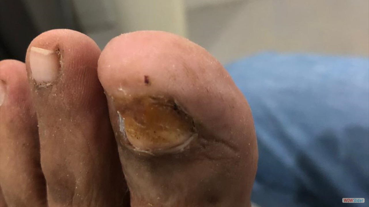 1e19aa5a-06b5-4b72-ac7f-7b94f30e5fcc