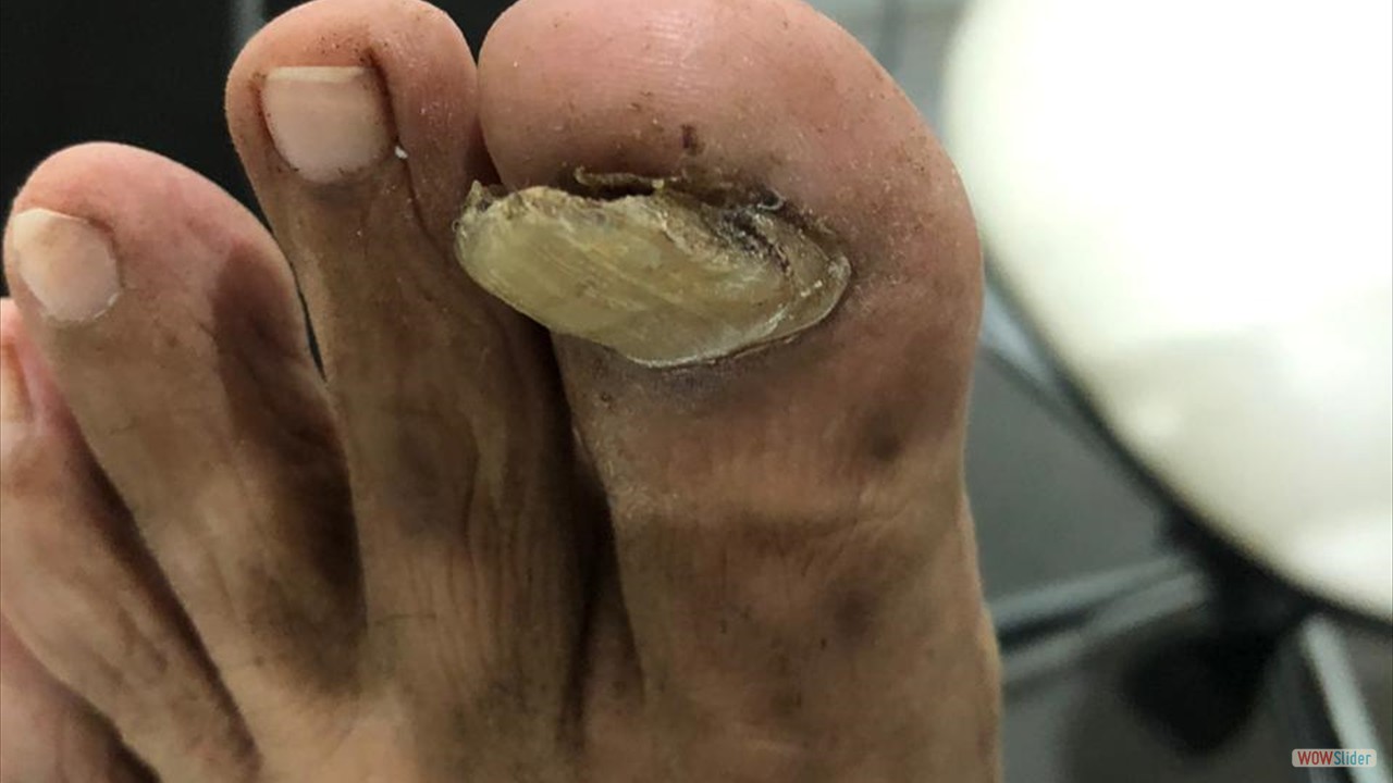 63551c1e-0e85-4bfd-81ab-286b112df058