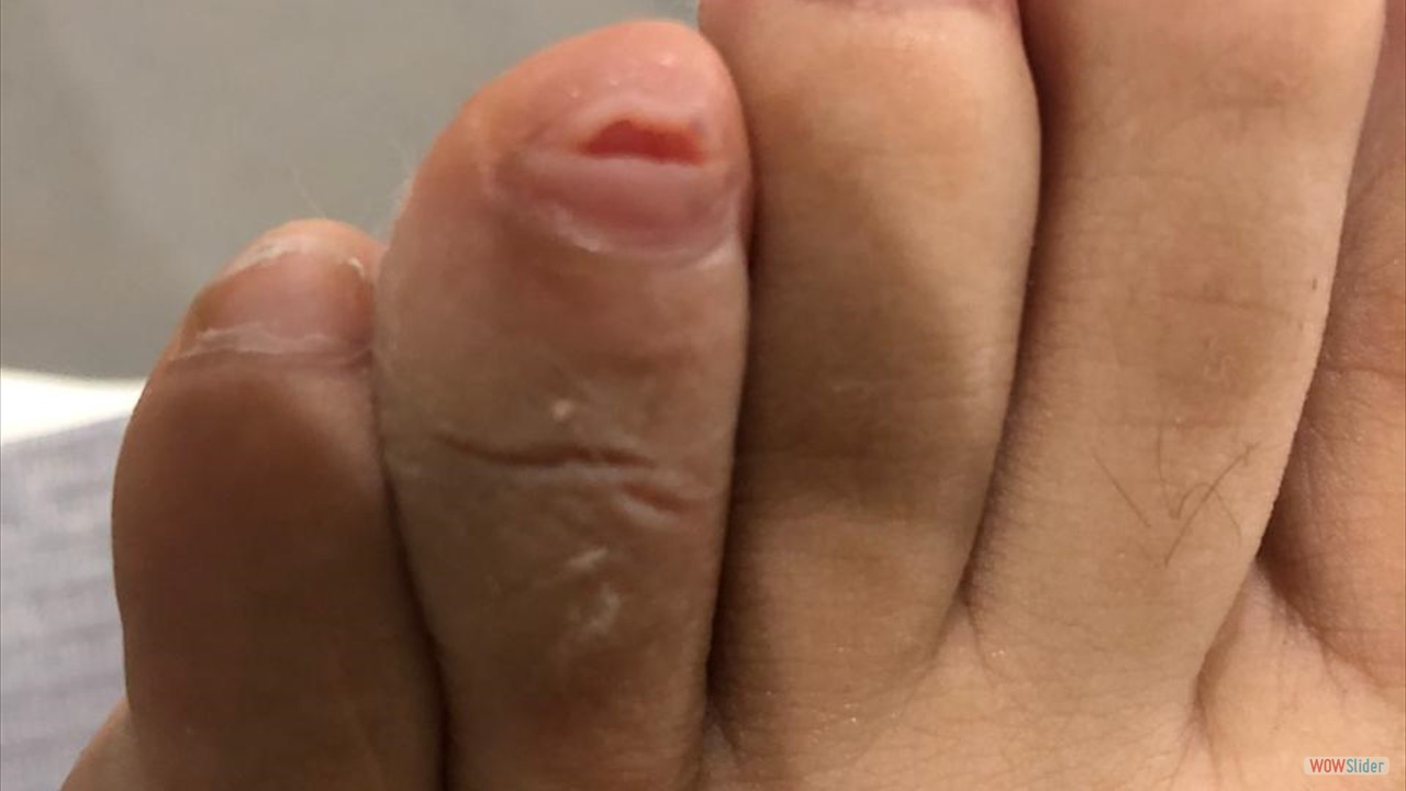 b320de4c-ad28-4e4d-8f36-dfef5e554ea1