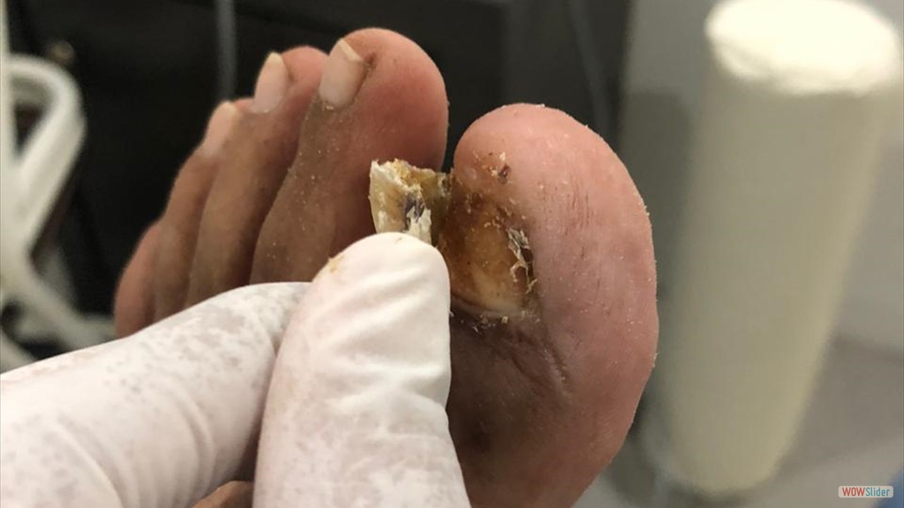 ccfb3d20-edd9-4689-ad65-778f84f29542